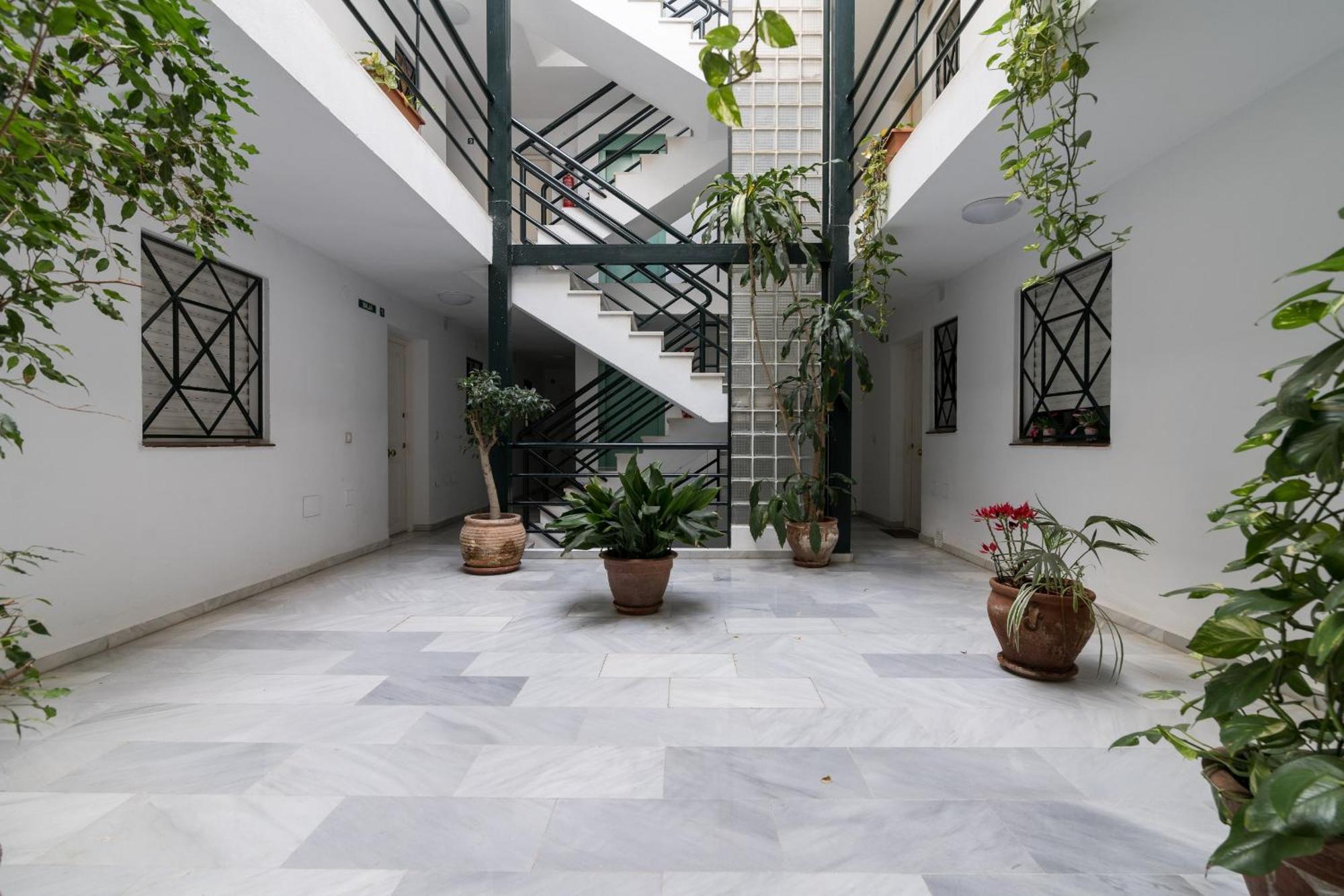 Suite Homes Agua Málaga Dış mekan fotoğraf